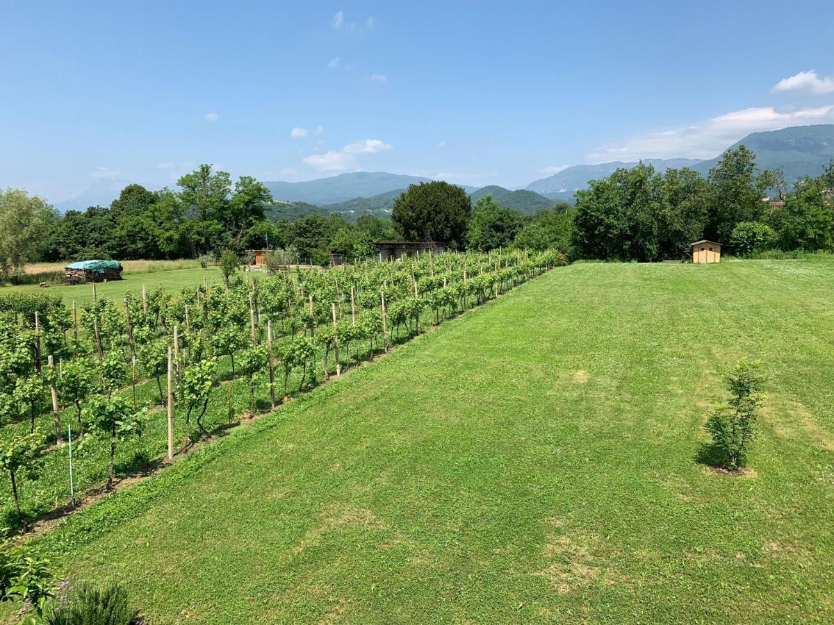 Cottage Del Fiume Ragogna 外观 照片